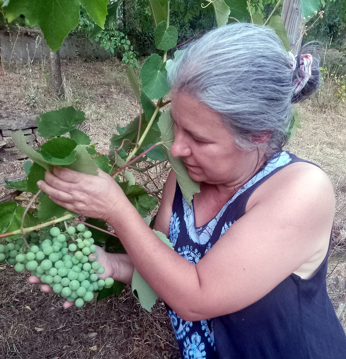 Eine Frau hält eine Weinrebe mit großen Trauben in der Hand.