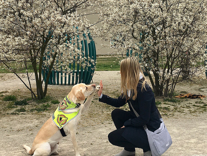 Vor blühenden Sträuchern hält Führhund Sunny eine Pfote hoch, ihm gegenüber kniet Marion und hält ihre Handfläche an seine Pfote