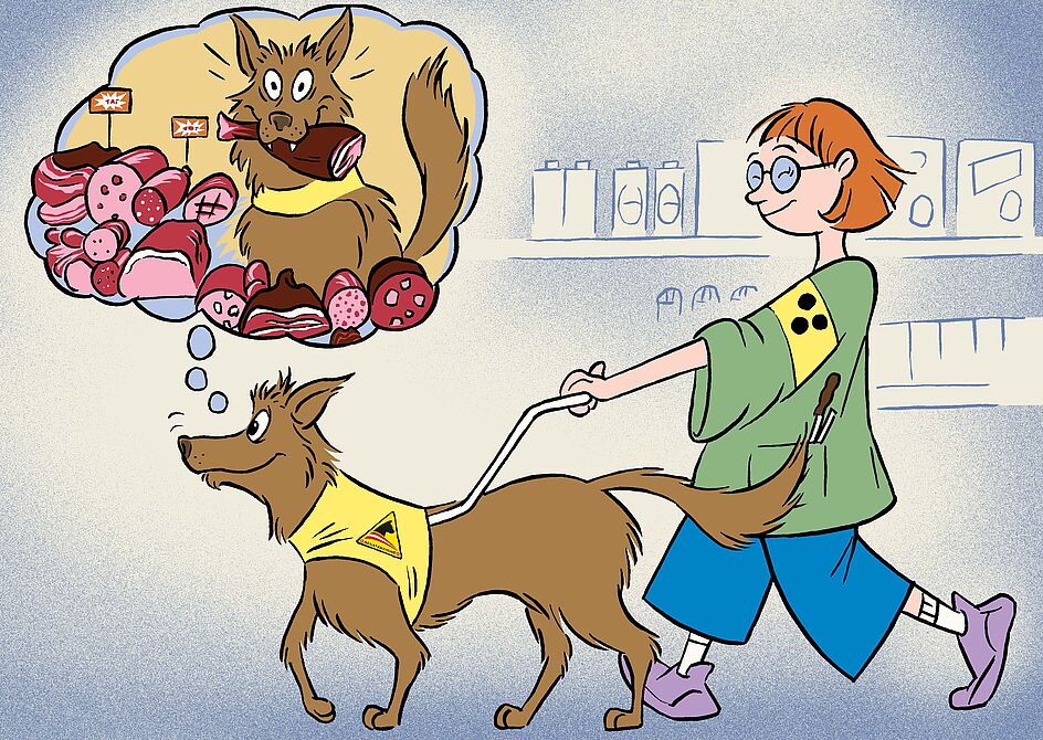 Die Zeichnung zeigt einen dunkelbraunen Golden Retriever mit gelber Kenndecke vor einem Supermarktregal. Hinter ihm geht eine junge Frau, die ihn am Führgeschirr hält. In seiner Denkblase sieht man ihn vor einem Haufen Würsten und Schinken, in seinem Maul ein großes Fleischstück.