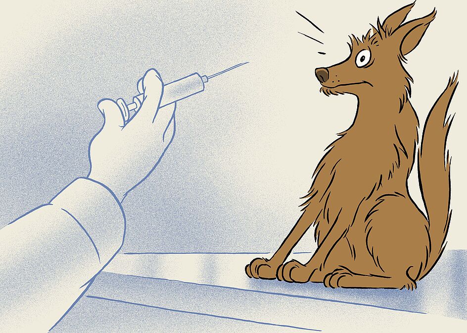 Zeichnung: Ein leicht ängstlicher Hund auf einem Tisch, im Vordergrund eine Hand mit Spritze.
