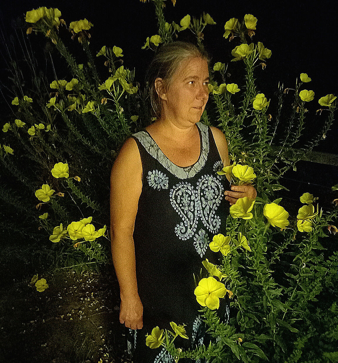 Eine Frau im Dunkeln zwischen vielen gelben Nachtkerzen-Blüten.