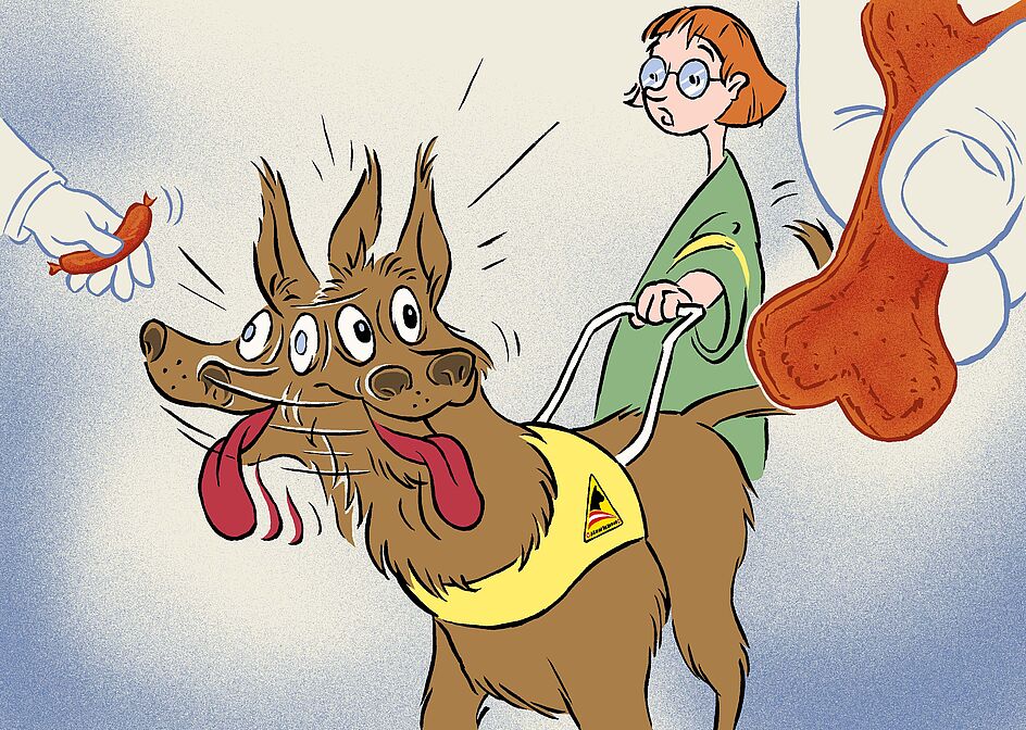 Die Zeichnung zeigt einen dunkelbraunen Golden Retriever mit gelber Kenndecke und Führgeschirr, der hechelnd schnell seinen Kopf hin und her bewegt. Seine Besitzerin sieht hinter ihm erschrocken drein. Links hält ihm eine Hand eine Wurst hin, rechts eine Hand einen Hundekuchen.